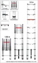 DRABINA ALU TELESKOPOWA 3,8M 13 STOPNI VOREL 17702